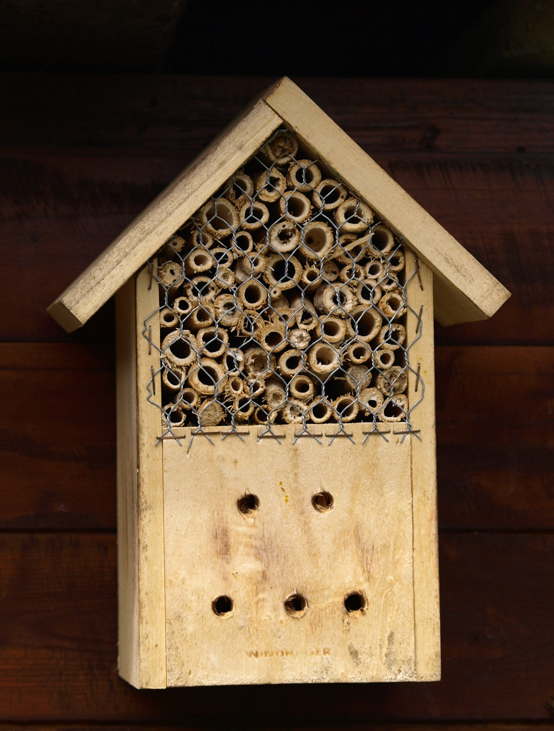 Creating a Bee-Friendly Garden with Insect Hotels