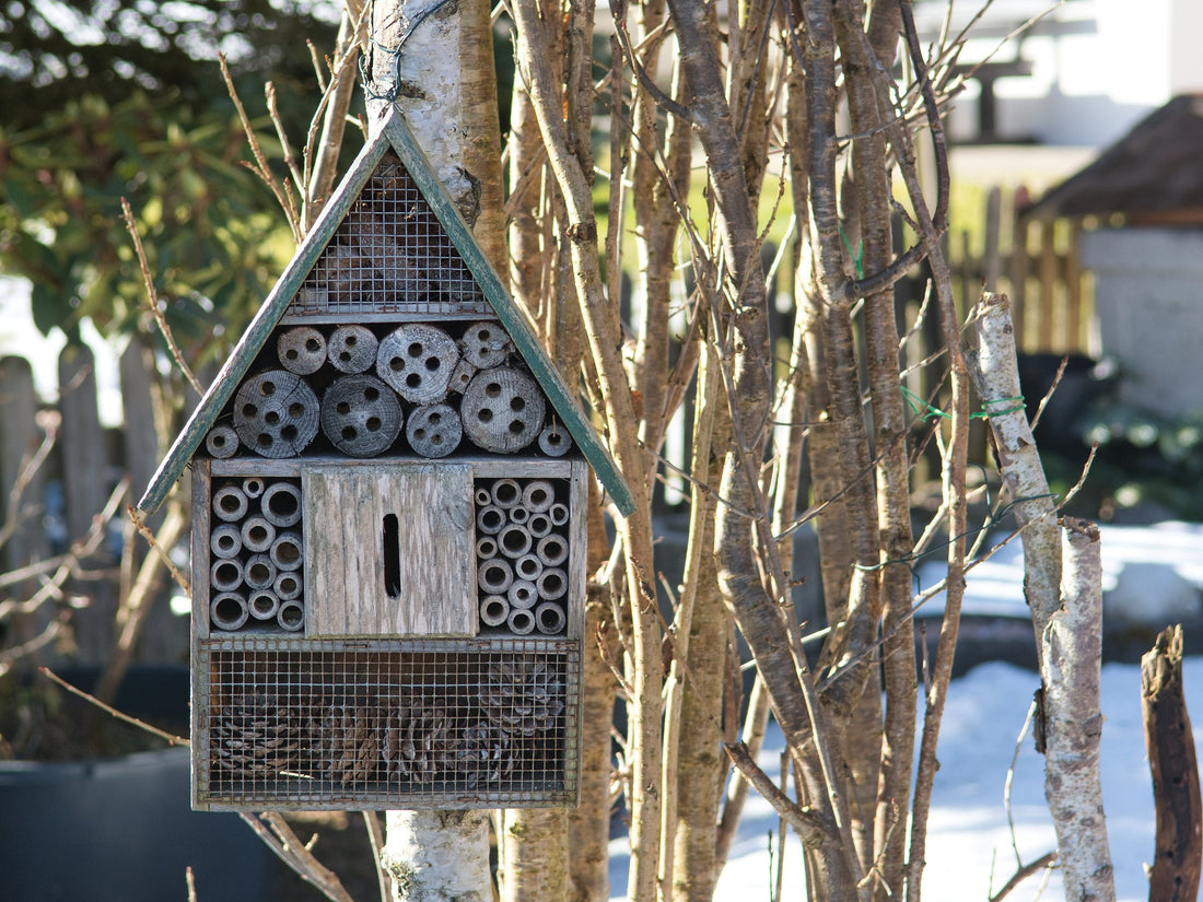 The Benefits of Insect Hotels for a Thriving Garden